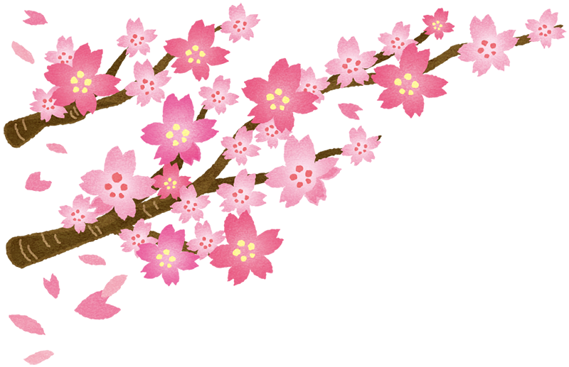 合格さくら
